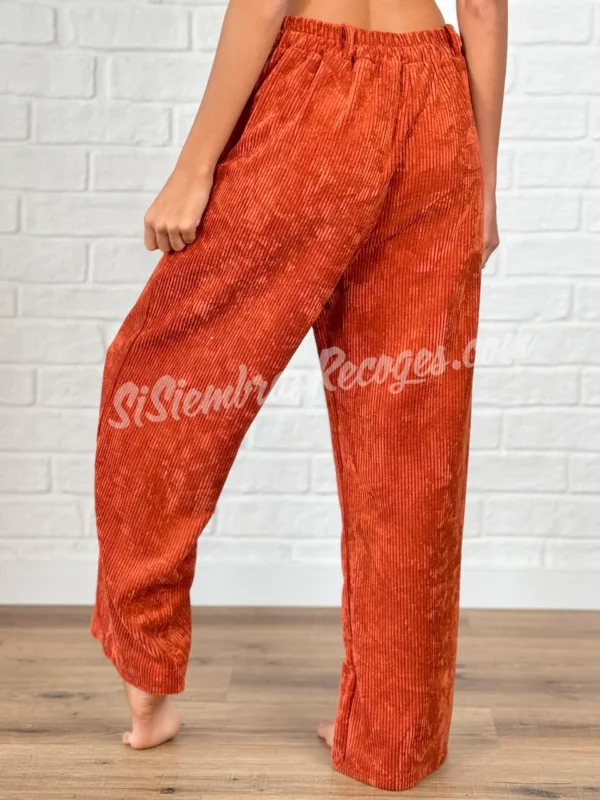 Pantalón de Pana Vintage - Caldera - Imagen 2